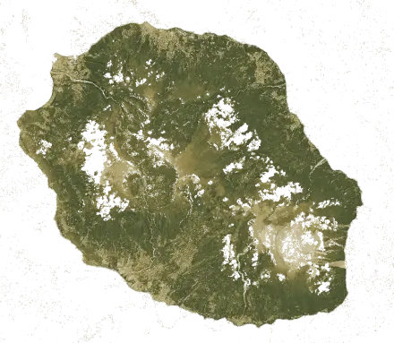 Indice de végétation de La Réunion en mars 2026