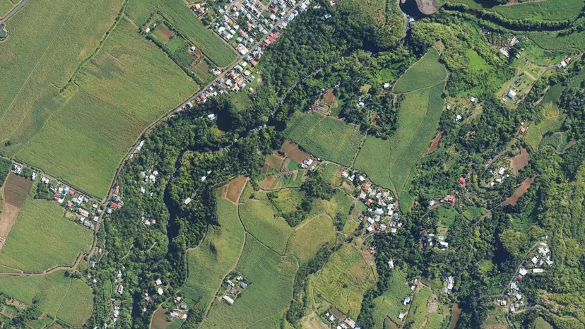 Champs de canne à sucre découpés par les ravines, Sainte-Marie