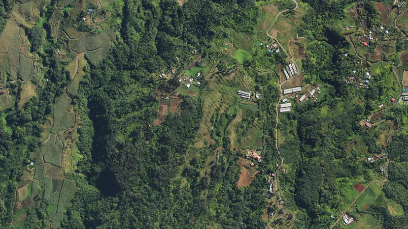 Petites parcelles et serres accrochées à la pente, hauts de Saint-Joseph